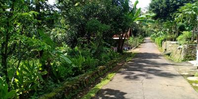 Tanah Idaman Cocok untuk Homestay Karanganyar