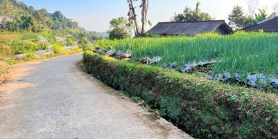 Tanah Datar Kemuning Ngargoyoso Karanganyar