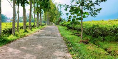 Tanah Datar dikelilingi Kebun Teh Kemuning Karanganyar