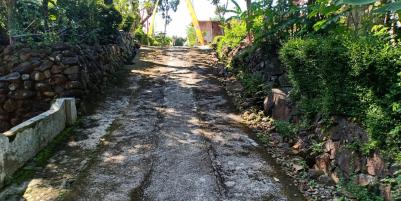 Jual Tanah Kebun Jati Sragen