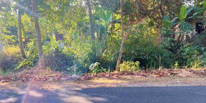 Dijual Kebun Durian Jl Karangpandan-Tawangmangu