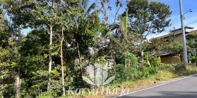 Tanah Kebun Durian Kemuning Karanganyar