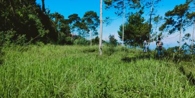 Dijual Tanah Cocok Untuk Camping Ground Kemuning