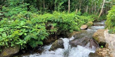 Tanah Istimewa Dekat Sungai Kemuning Karanganyar