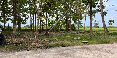 Tanah Pekarangan View Sawah Karangmalang Sragen