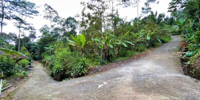 Tanah Kebun Jambu Kemuning Karanganyar