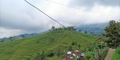 Tanah Idaman Area Kebun Teh Kemuning Karanganyar