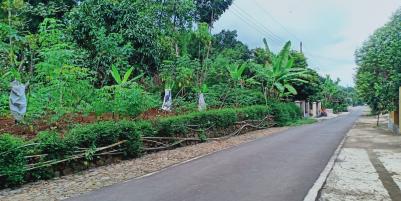 Kebun Durian Utara Pasar Mojogedang Karanganyar