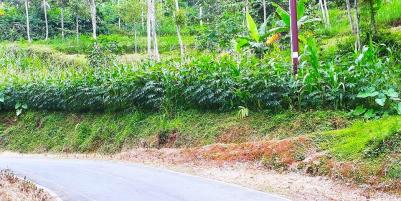 Tanah tepi Jl Kerjo-Sambirejo Kerjo Karanganyar