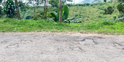 Tanah 1534m² Dekat Candi Cetho Karanganyar 