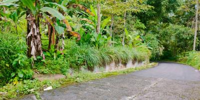 Tanah Cocok dibangun Villa Tawangmangu Karanganyar