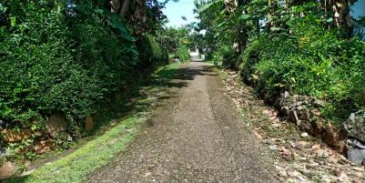 Tanah Cocok Untuk Kebun Durian Kerjo Karanganyar