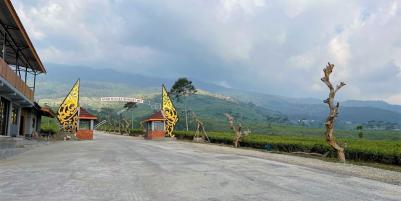 Tanah Datar View Kebun Teh & Jembatan Kaca