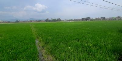 TANAH MAIN ROAD RAYA SAPAN TEGALLUAR – BOJONGSOANG, BANDUNG