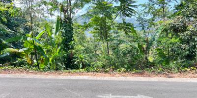 Tanah Udara Dingin 2000m² Ngargoyoso, Karanganyar 