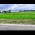 Tanah Datar View Gunung Lawu Kerjo Karanganyar 