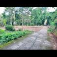 Tanah 1368m² Cocok Untuk Kebun Buah Karanganyar