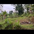 Tanah View Sawah Kawasan Wisata Karanganyar