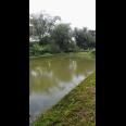 RUMAH DAN KOLAM PEMANCINGAN IKAN DI CIRANJANG - CIANJUR 