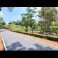  Kebun Buah 1550m 250 Juta Mojogedang Karanganyar