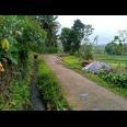 Tanah View Sawah Utara Pasar Karangpandan Karanganyar