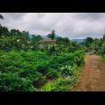 Tanah Idaman View Pemandangan Alam Kemuning Ngargoyoso Karanganyar