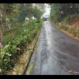 Jual Tanah Kebun Durian 1200m² Karangpandan Karanganyar