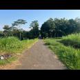 Dijual Tanah Datar View Gunung Lawu Kedawung Sragen