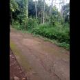 Dijual Tanah Datar 1500m2 325Jt Mojogedang, Karanganyar