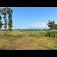 Dijual Tanah Datar View Gunung Lawu Kedawung Sragen