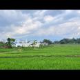 Tanah Datar View Gunung Lawu Kerjo Karanganyar 