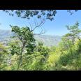 Tanah 3300m² View Istimewa Gunung Lawu 