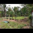 DIJUAL LAHAN KEBUN HOLTIKULTURA BUAH NAGA & TIN LINGKAR SELATAN, CILEGON