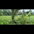 Di jual tanah sawah Kp.bayubud Ciwalen