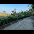 Jual Tanah Sawah 6890m² Karanganyar