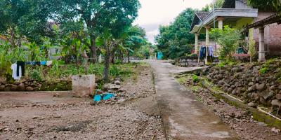 Tanah Cocok untuk Kebun Buah Masaran Sragen