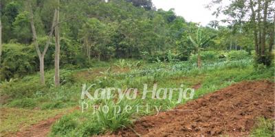 Tanah 1 hektar Mojogedang Karanganyar