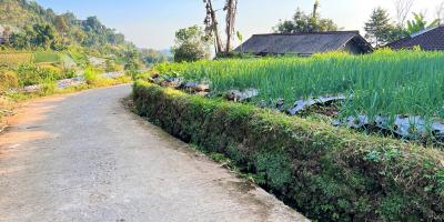 Tanah Datar Kemuning Ngargoyoso Karanganyar