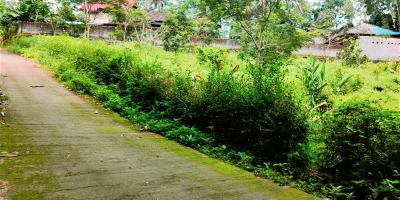 Tanah Kebun Buah Mojogedang Karanganyar