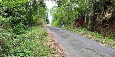 Dijual Kebun Jati 65 ribu permeter Kerjo Karanganyar