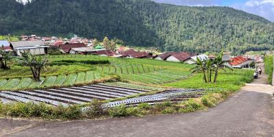 Tanah 206m² Gondosuli Tawangmangu Karanganyar