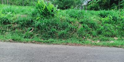 Dijual Tanah 3512m² View Hamparan Kebun Teh Kemuning