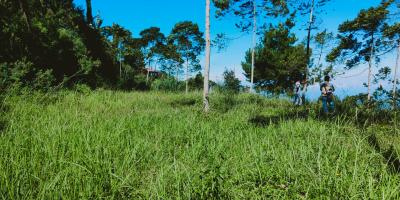 Dijual Tanah Cocok Untuk Camping Ground Kemuning