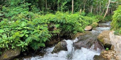 Tanah Istimewa Dekat Sungai Kemuning Karanganyar