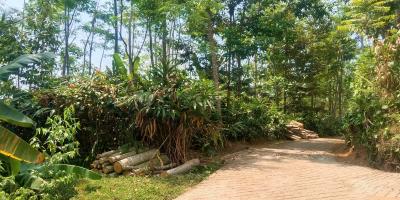 Dijual Tanah 2570m2 Dekat Candi Cetho Karanganyar 