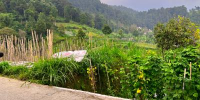 Dijual Tanah 410m² Dekat Candi Sukuh Kemuning