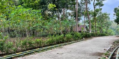 Tanah Kebun Durian 1000m² Mojogedang Karanganyar