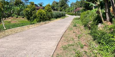 Dijual Kebun Durian Siap Panen Karanganyar