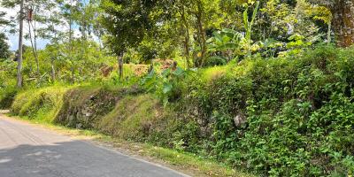 Dijual Tanah Kebun Durian Ngargoyoso Karanganyar