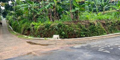 Kebun Durian Siap Berbuah Mojogedang Karanganyar